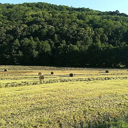 Casa Simon ゲストハウス 2*