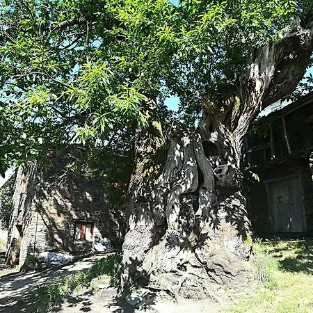 Casa Simon ゲストハウス トリアカステーラ