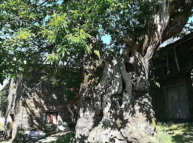 Casa Simon Pensión Triacastela